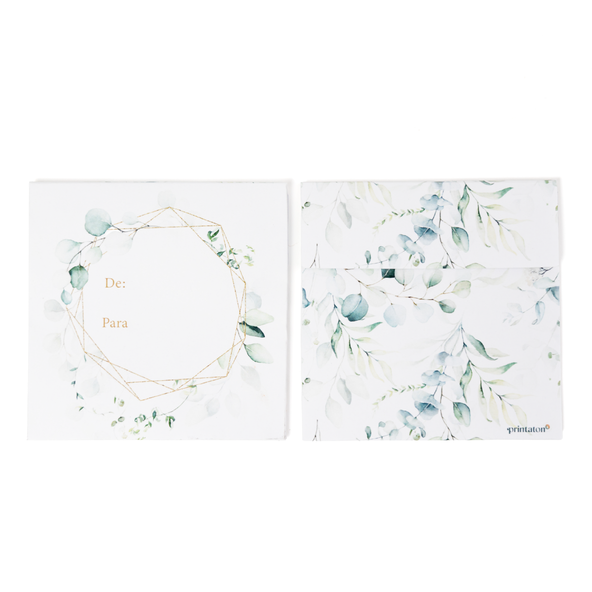 Sobres Cuadrados "Eucalipto Geométrico"